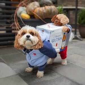 Meet your Posher, Aaron